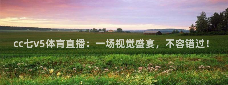 熊猫直播平台官网：cc七v5体育直播：一场视觉盛宴，不容错过！