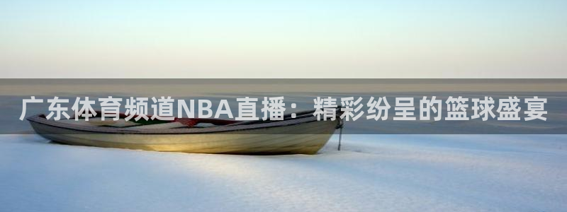 熊猫体育在线直播app：广东体育频道NBA直播：精彩纷呈的篮球盛宴