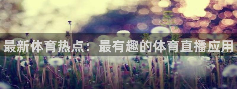 熊猫直播平台：最新体育热点：最有趣的体育直播应用