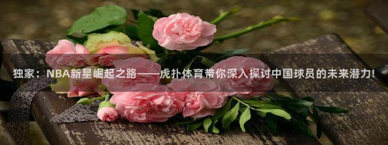 熊猫体育手机版：独家：NBA新星崛起之路——虎扑体育带你深入探讨中国球员的未来潜力!