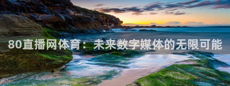 熊猫nba直播视频：80直播网体育：未来数字媒体的无限可能