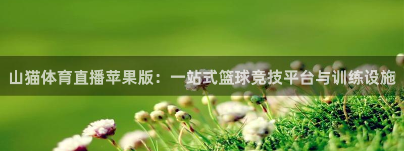 熊猫体育直播app下载：山猫体育直播苹果版：一站式篮球竞技平台与训练设施