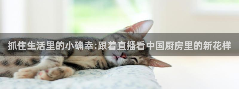 熊猫直播下载官网：抓住生活里的小确幸:跟着直播看中国厨房里的新花样