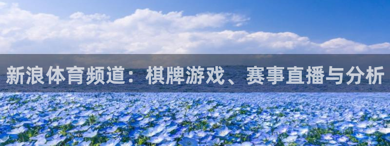 熊猫体育足球直播在线观看：新浪体育频道：棋牌游戏、赛事直播与分析