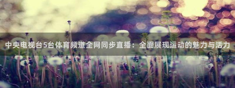 熊猫足球直播平台：中央电视台5台体育频道全网同步直播：全面展现运动的魅力与活力