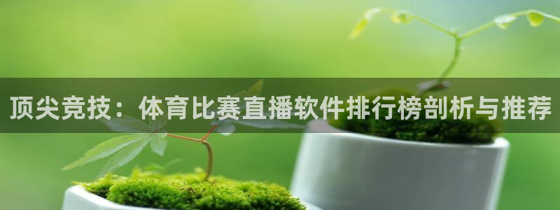 熊猫体育：顶尖竞技：体育比赛直播软件排行榜剖析与推荐