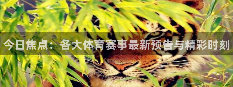 熊猫体育直播欢度2026进.来就送.org：今日焦点：各大体育赛事最新预告与精彩时刻