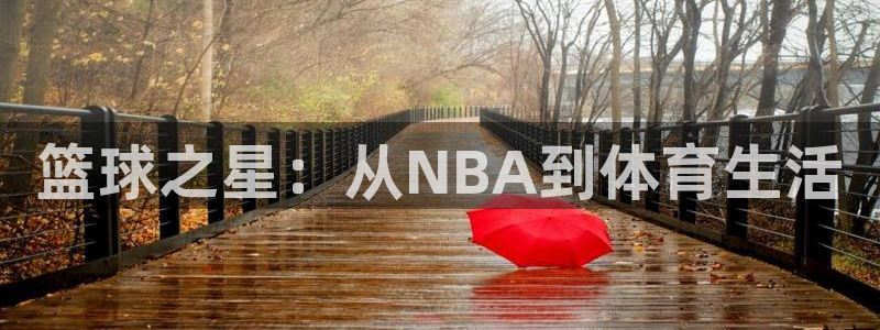 熊猫主播视频：篮球之星：从NBA到体育生活