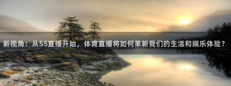 动感熊猫体育公园：新视角：从55直播开始，体育直播将如何革新我们的生活和娱乐体验？