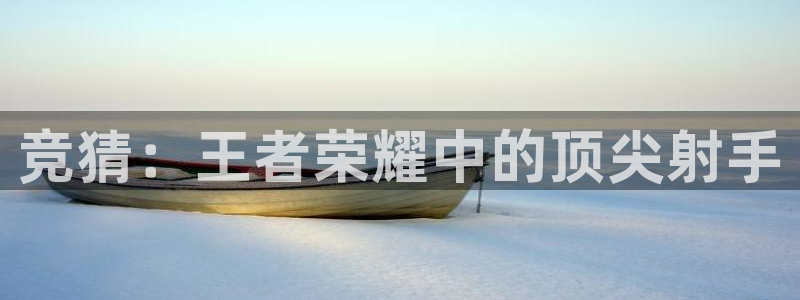 熊猫体育app官网入口：竞猜：王者荣耀中的顶尖射手